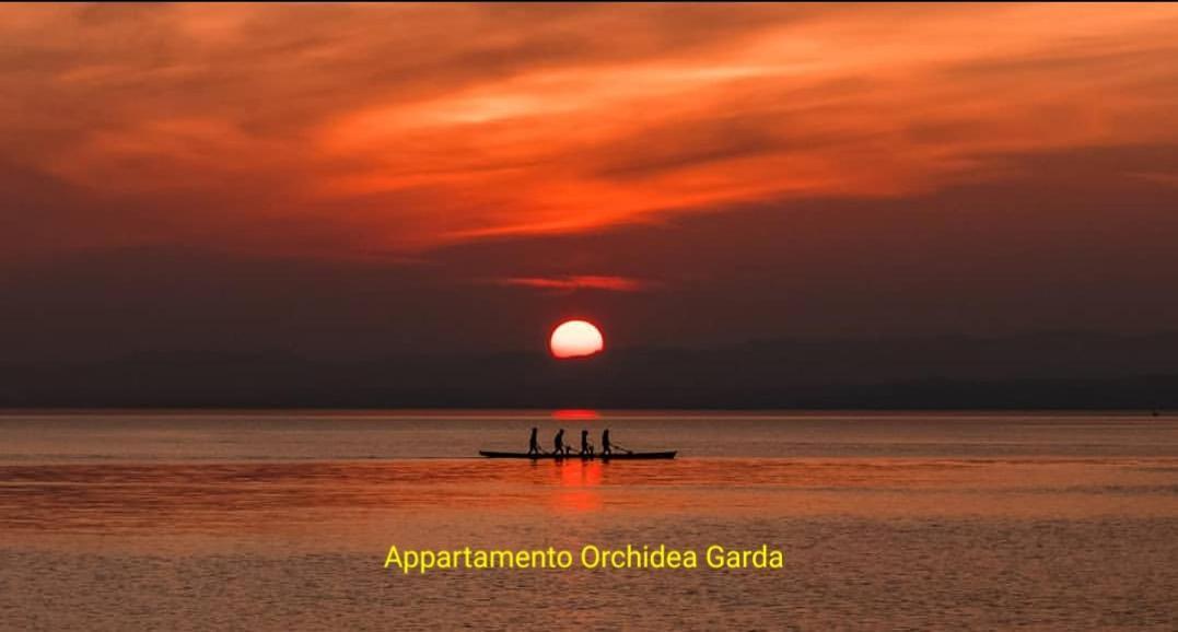 Appartamento Orchidea Garda ガルダ エクステリア 写真