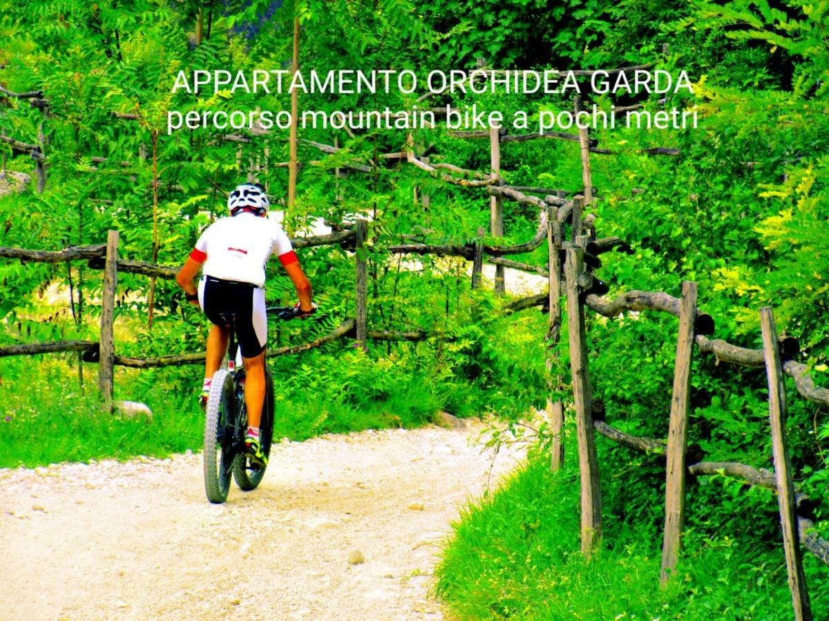 Appartamento Orchidea Garda ガルダ エクステリア 写真